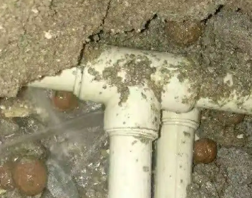 前进测漏水多少钱