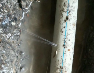 前进测漏水哪家好