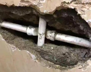 前进测漏水哪家好