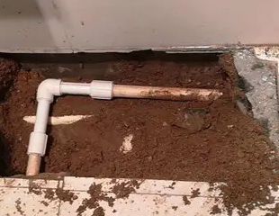 前进测漏水哪家好