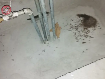 前进卫生间测漏水价格明细