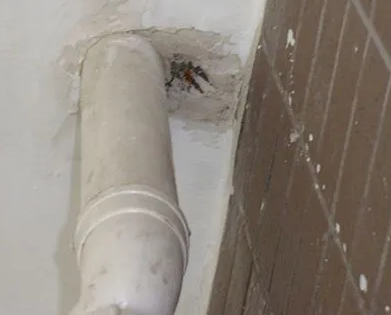 前进漏水检测哪家好